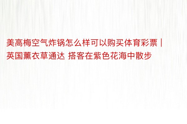 美高梅空气炸锅怎么样可以购买体育彩票 | 英国薰衣草通达 搭客在紫色花海中散步