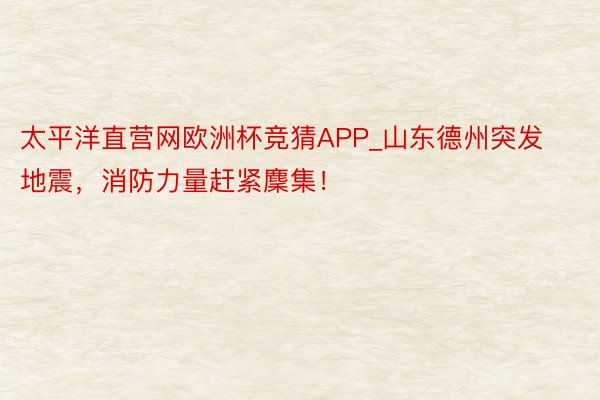 太平洋直营网欧洲杯竞猜APP_山东德州突发地震，消防力量赶紧麇集！